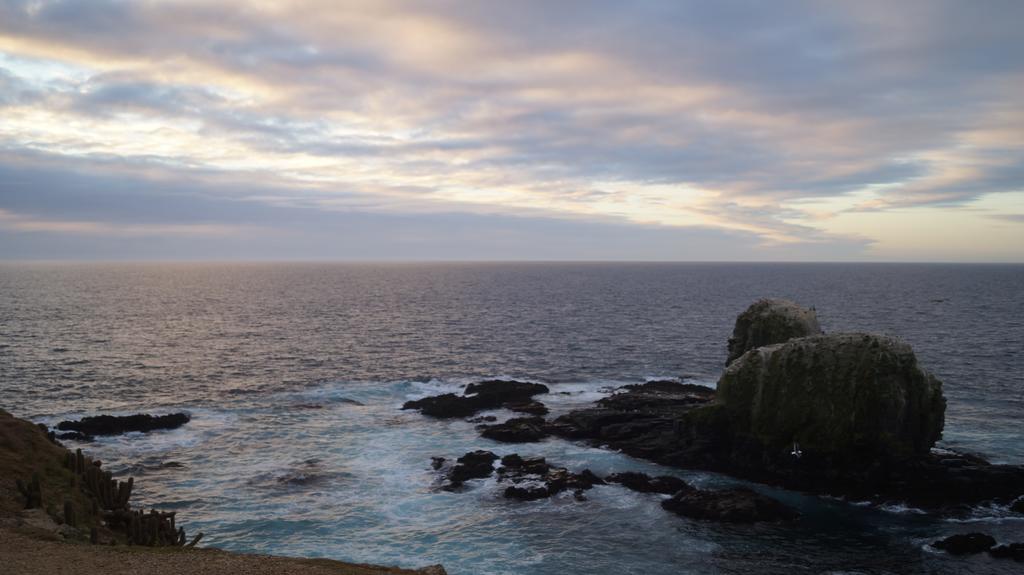 Pichilemu Apart Hotel エクステリア 写真